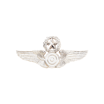 Blackinton A1102-B Wings with Star and Wreath