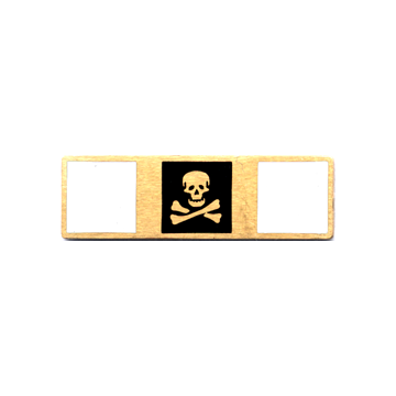 Blackinton A11754 Skull and Cross Bone Commendation Bar (1-3/8" x 3/8")