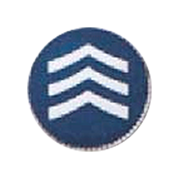 Blackinton A12445 Sergeant Chevrons (11/16") Min Order: 2
