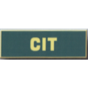 Blackinton A12753 CIT Commendation Bar (1-3/8" x 3/8")