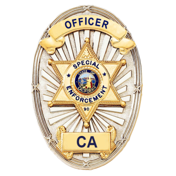 Blackinton A4684-S Oval Badge with Applied Panels and Star (3-3/8" x 2-5/16")