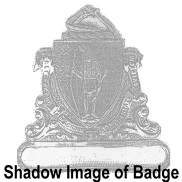 Blackinton A5484 Massachusetts Metropolitan Cap Badge