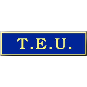 Blackinton A7140-AT One Section T.E.U. Commendation Bar (1-3/8" x 3/8")