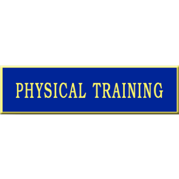 Blackinton A7140-AW One Section Physical Training Commendation Bar (1-3/8" x 3/8")