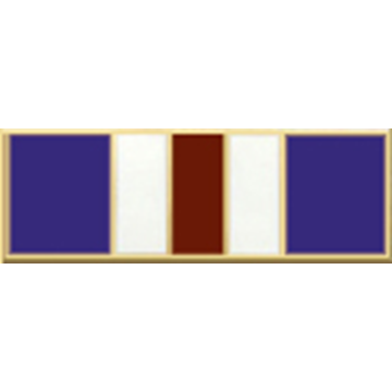 Blackinton A8828 Five Section Recognition Bar