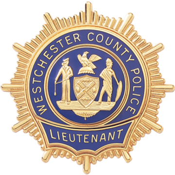 Blackinton A9704-R Starburst Badge with Reverse Enamel Panels (2-3/16" x 2-1/4")