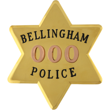 Blackinton AH7690-V13 - Six Point Star Badge (3-9/16" x 3-1/8")