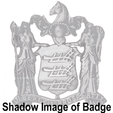 Blackinton B1007 New Jersey Coat of Arms Badge (2" x 1-7/8")