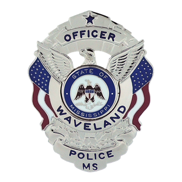 Blackinton B1160-B Badge with Eagle and Flags (3" x 2-1/4")