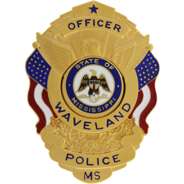 Blackinton B1160 Badge with Eagle and Flags (3" x 2-1/4")