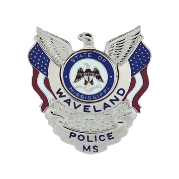 Blackinton B1160-A Badge with Eagle and Flags (2-7/16" x 2-1/4")