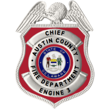 Blackinton B1531-DE Shield Badge with Eagle (2-7/16" x 1-3/4")