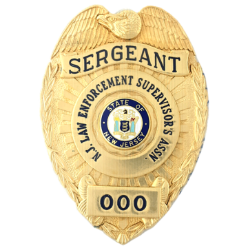 Blackinton B1549-AV3 Shield with Applied Panels and Applied Eagle's Head (3-1/4" x 2-1/4")