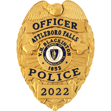 Blackinton B1549-AV4 Shield with Applied Panels and Applied Eagle's Head (3-1/4" x 2-1/4")