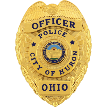 Blackinton B1549-BV7 Badge with Applied Panels and Disc with Eagle Head in Die (3-1/4" x 2-1/4")