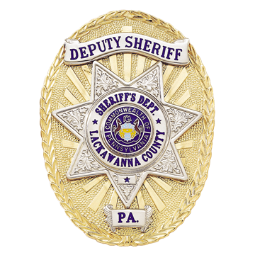 Blackinton B1675-S Oval Badge w/ Applied Panels & Star (3-5/16" x 2-7/16")