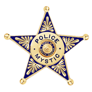 Blackinton B20-DE 5-Point Star Badge with Circular Panel and Deluxe Enamel (2-1/2" x 2-5/8")