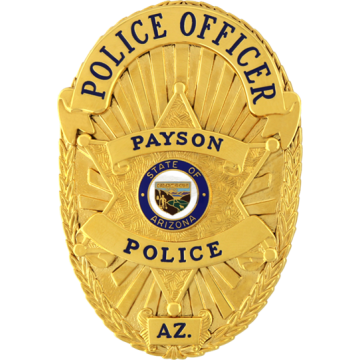 Blackinton B2172-V2 Oval Badge with Applied Panels and Star (3-5/16" x 2-5/16")