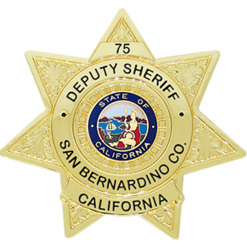 Blackinton B242-X 7-Point Star Badge with Circular Panel (3")