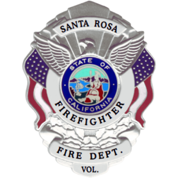 Blackinton B3029 Stunning Shield with American Flags and Eagle (3-3/16" x 2-7/16")