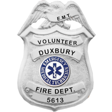 Blackinton B3321 Shield with Eagle Holding Ribbon Panel (3-1/8" x 2-1/8")