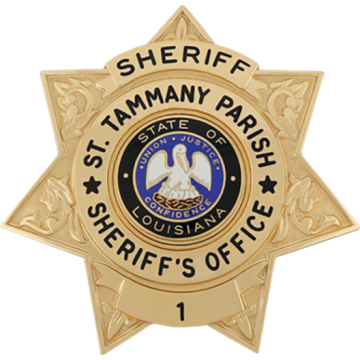 Blackinton B3556 Seven Point Star with Decorative Star Points (2-3/4" x 2-11/16")