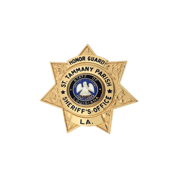 Blackinton B3599 Seven Point Star Badge with Circular Panel (2")