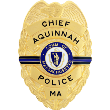 Blackinton B3627 Memorial Shield w/ an Eagle & Three Thin Lines (3-1/8" x 2-1/8")