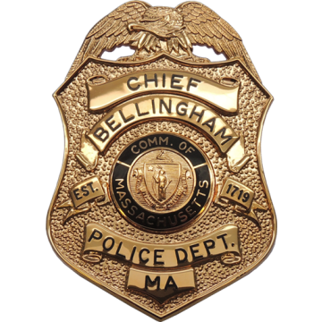 Blackinton B3663 Badge with Eagle and Engravable Ribbons (3-1/16" x 2-1/8")