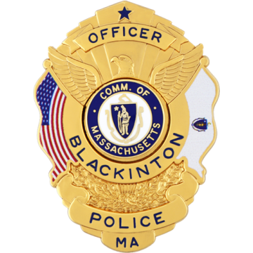 Blackinton B3870-PRT Shield Badge with Eagle and Custom Flags (3" x 2-1/4")