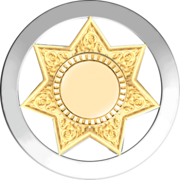 Blackinton B4004-X 7-Point Star in Circle Badge (2-11/16")