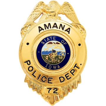 Blackinton B548 Badge with Eagle and Circular Panel (2-13/16" x 1-13/16")