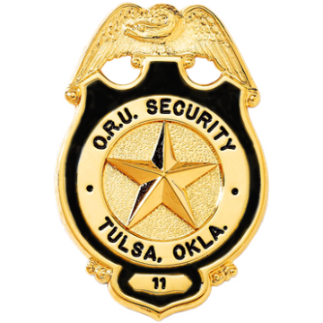 Blackinton B557-DE Badge with Eagle and Circular Panel w/ Deluxe Enamel (2-13/16" x 1-7/8")