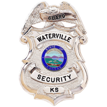 Blackinton B589 Badge with Eagle Holding Ribbon Panel (3-1/4" x 2-1/8")