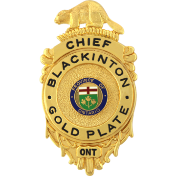 Blackinton B692 Shield with a Beaver (3-1/8" x 1-3/4")