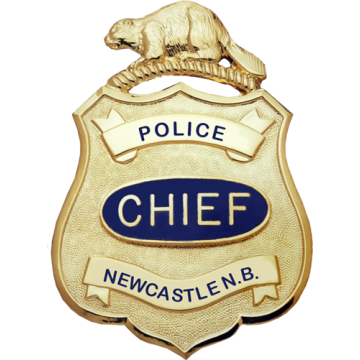 Blackinton Model B696 Shield with Beaver (3-7/16" x 2-7/16")