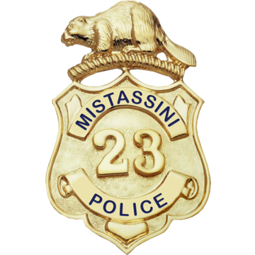 Blackinton B698 Shield with Beaver (2-1/2" x 1-5/8")