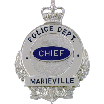 Blackinton B699 Circular Badge with Crown (2-7/8" x 2-1/8")