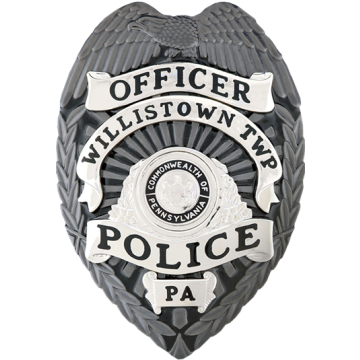 Blackinton B736-HDE Badge with Eagle and Background Color (3-3/8" x 2-3/8")