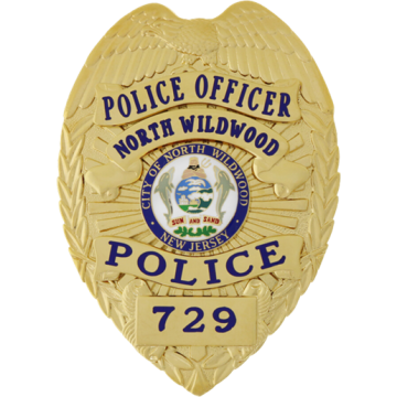 Blackinton B736-V3 - Badge with Eagle and Applied Panels (3-3/8" x 2-3/8")