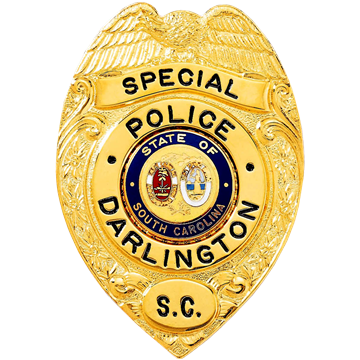 Blackinton B749 Badge with Eagle and Circular Panel (3" x 2-1/8")