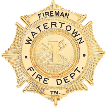 Blackinton B803 Sunburst Badge with Circular Panel (2-3/8")