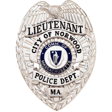 Blackinton B879-HA Badge with Eagle and Applied Panels (3-3/16" x 2-1/4")