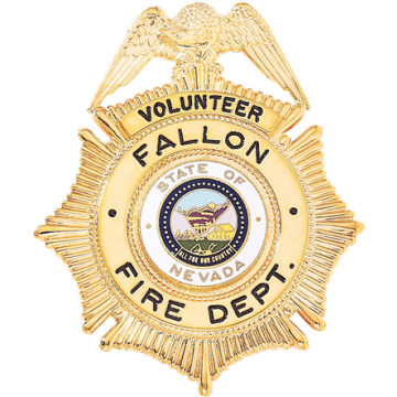 Blackinton B96 Sunburst Badge with Eagle and Circular Panel (2-7/8" x 2-1/2")