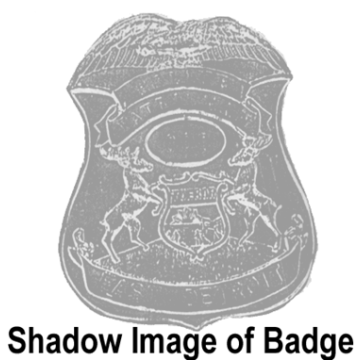 Blackinton BC1743 Michigan Badge with Tuebor Seal (2-1/2" x 2")