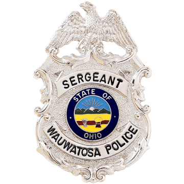 Blackinton BH1878 Shield Badge with Eagle (3-1/8" x 2")