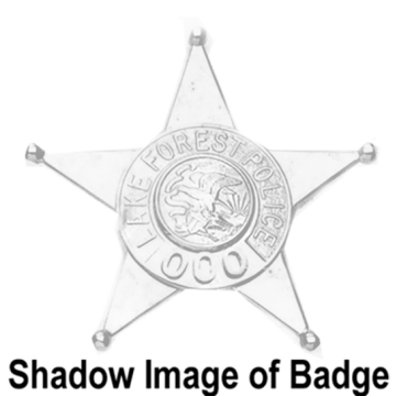 Blackinton BH1990 Five Point Star Badge (3" x 3-1/8")