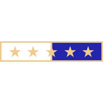 Smith & Warren C580_5 Two Section Service Award Bar w/ 5 Stars (1-7/8" x 3/8")
