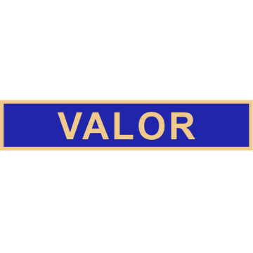 Smith & Warren C584VALOR Service Award Bar for Valor (1-7/8" x 3/8")