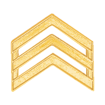 Smith & Warren C705 Embossed Sergeant Chevrons (Pair)